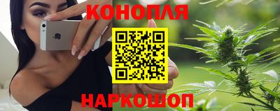 спиды Будённовск