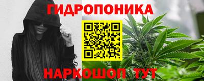 спиды Будённовск